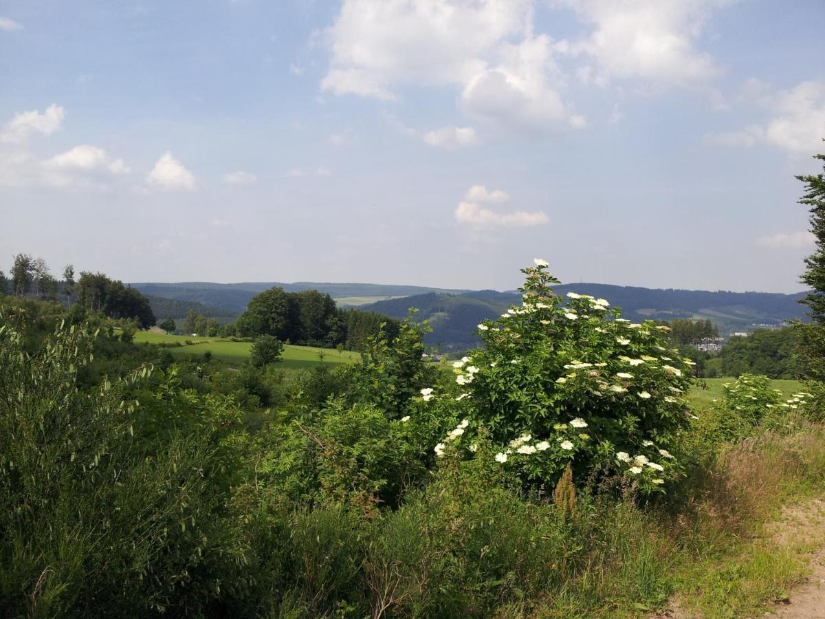 Hotel Bigger Hof - Wirtshaus Platzhirsch Am Jahnplatz Olsberg Esterno foto